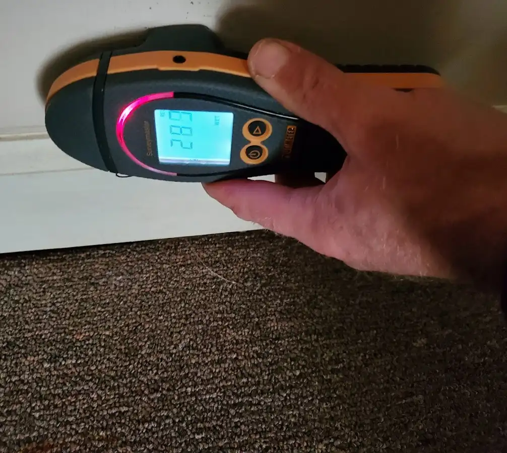 Moisture detection at baseboard during Sewage Cleanup & Sanitation in Urbana
